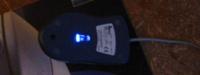 mouse_4.jpg