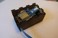 DSC00335.jpg